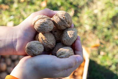 Close-up of hand holding bread