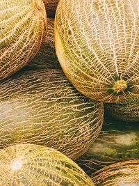 Full frame shot of fruit for sale melons 