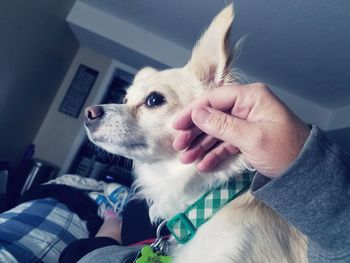 Close-up of woman holding dog at home