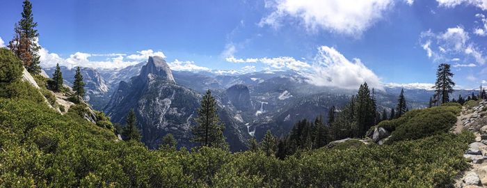 Panoramic view of trees in forest against sky