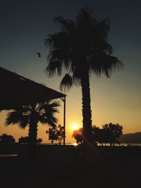 Silhouette palm trees against sky during sunset