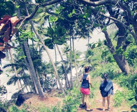 tree, lifestyles, rear view, men, leisure activity, walking, growth, person, full length, green color, standing, casual clothing, nature, branch, day, leaf, plant