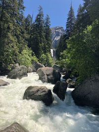 Scenic view of waterfall in forest against sky