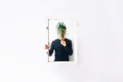 Potted plant against white background