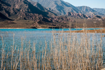 Scenic view of lake against mountain range