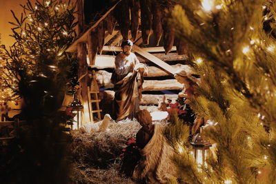 View of christmas tree