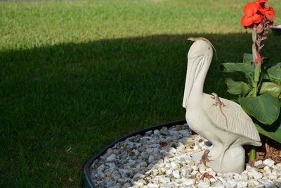 View of person sitting on grassy field