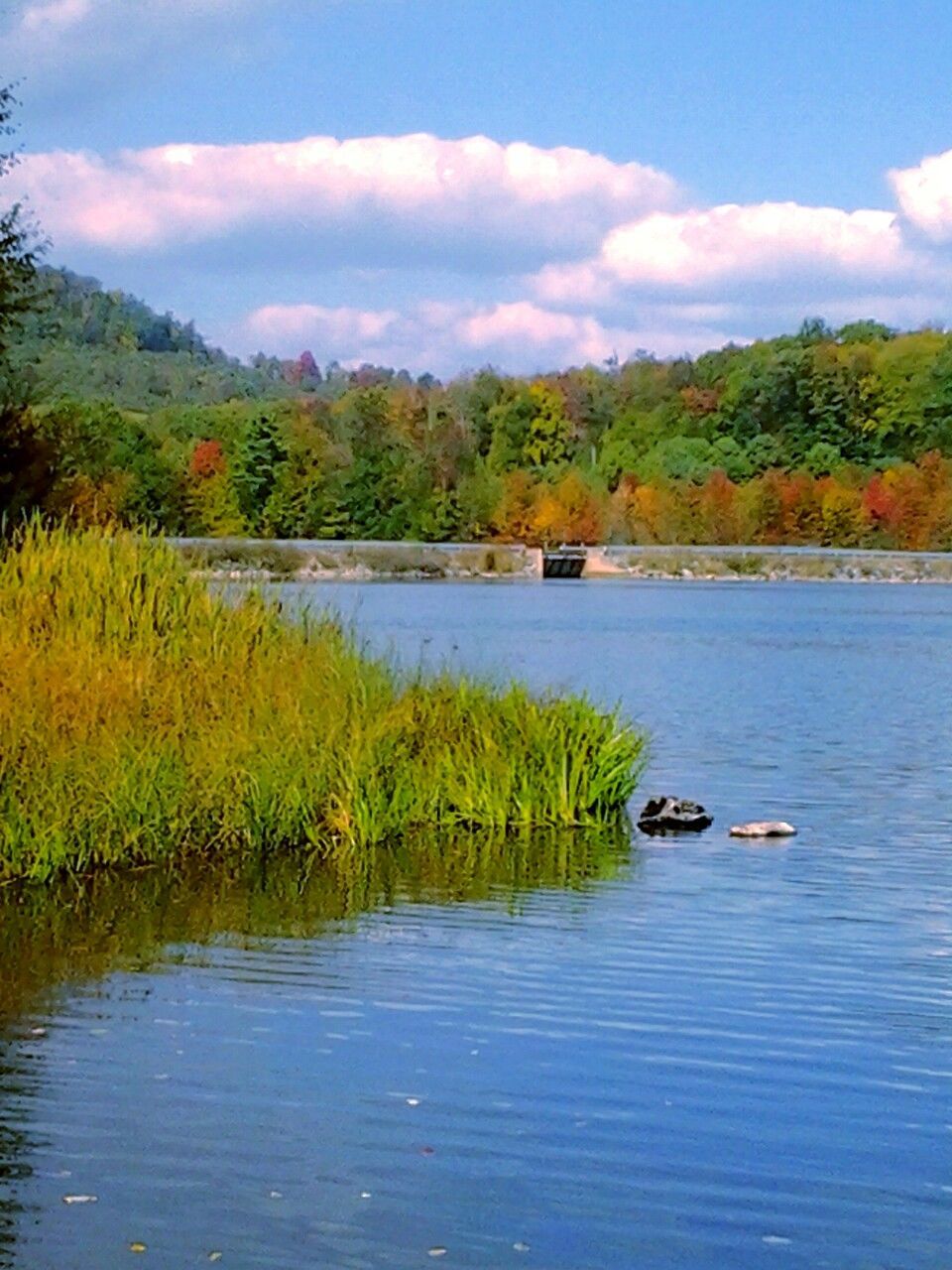 water, tranquil scene, sky, tranquility, tree, lake, scenics, beauty in nature, nature, cloud - sky, cloud, growth, green color, river, plant, waterfront, mountain, reflection, non-urban scene, idyllic