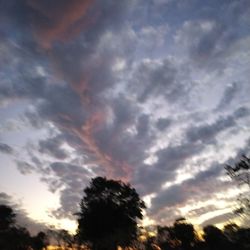 Low angle view of silhouette trees against sky during sunset