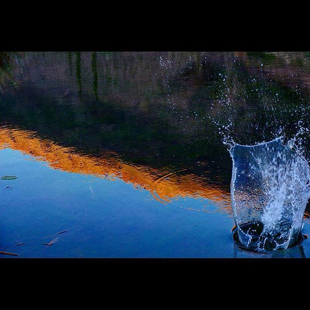 REFLECTION OF TREES IN WATER