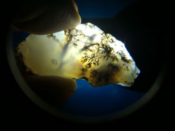 Close-up of human hand against black background