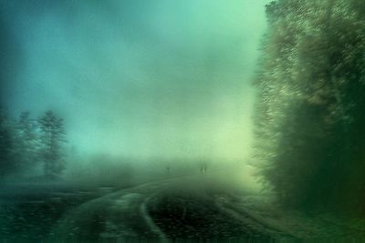 Road passing through forest