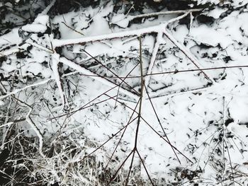 Close-up of snow