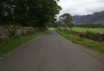 Empty road along trees and plants