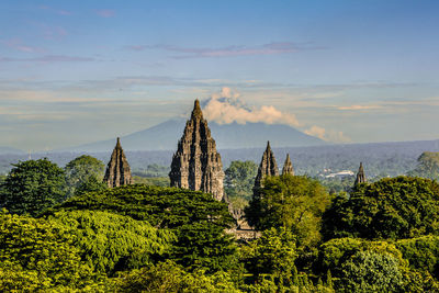 Panoramic view of trees on landscape against sky