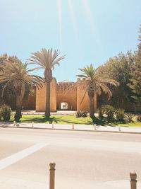 Palm trees by road against clear sky