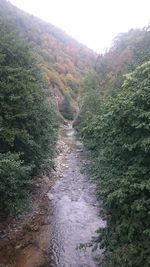 Scenic view of river flowing amidst trees against sky