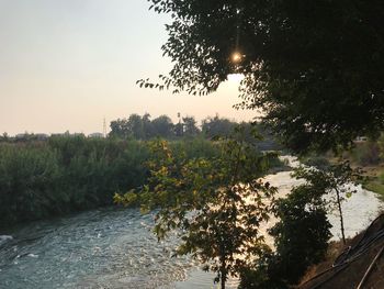 Scenic view of river amidst trees against sky