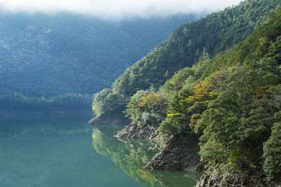 Close-up of tree by lake against sky