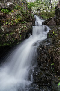 Scenic view of waterfall in forest