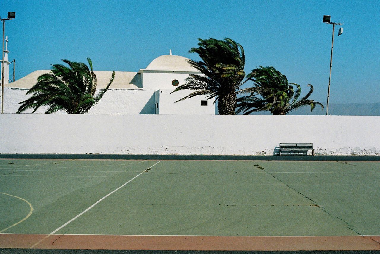 palm tree, tropical climate, tree, plant, nature, tennis, sky, sports, day, sport venue, no people, architecture, clear sky, outdoors, built structure, wall, sunny, building exterior, sunlight