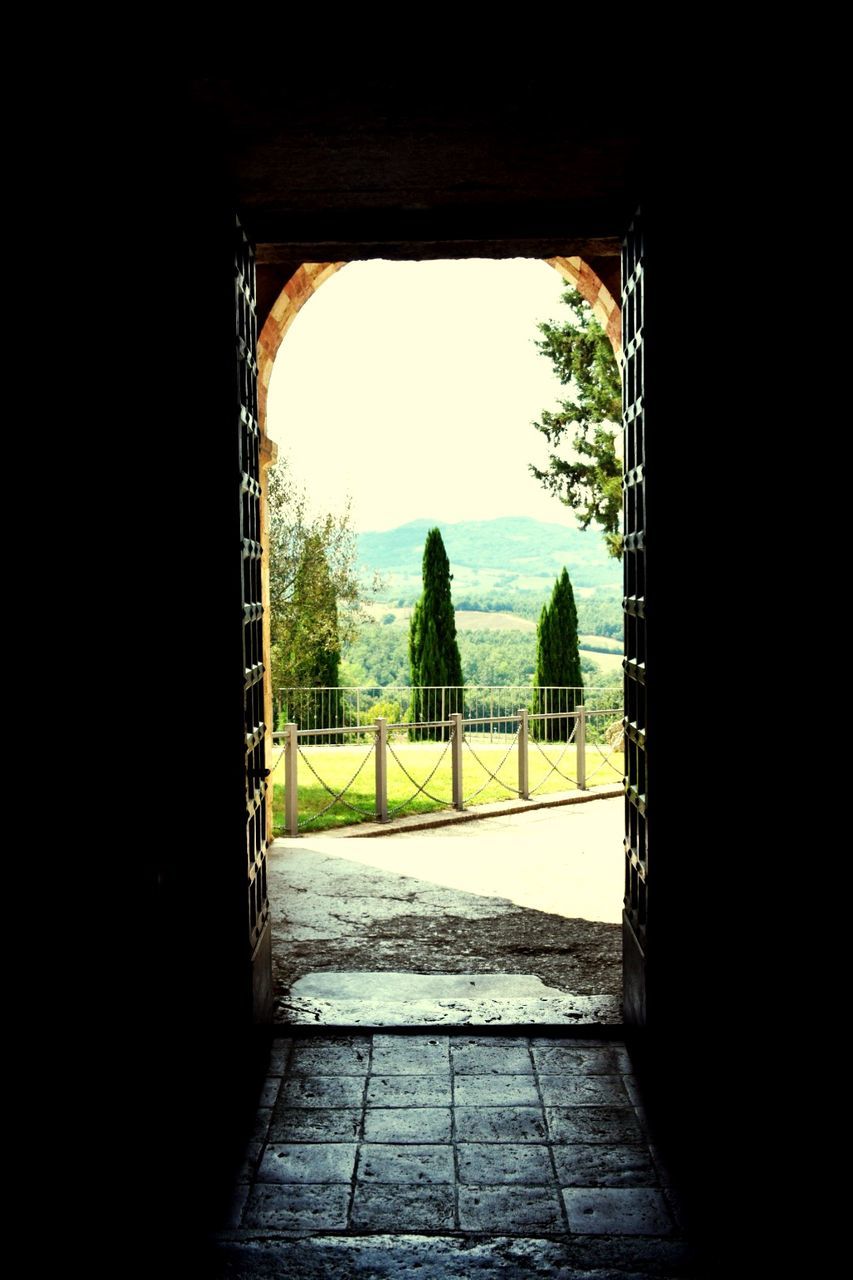 architecture, tree, nature, day, built structure, sky, plant, indoors, the way forward, direction, entrance, no people, copy space, clear sky, arch, sunlight, window, door, building, surface level