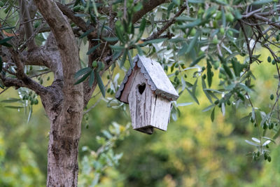 Close-up of birdhouse hanging on tree