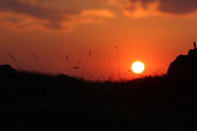 Silhouette plants on field against sky during sunset