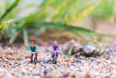 Close-up of figurines on stones