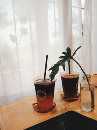 Potted plant on table against window