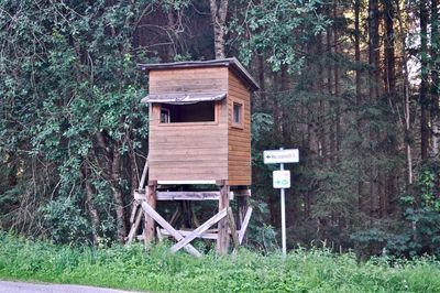 View of hut in forest