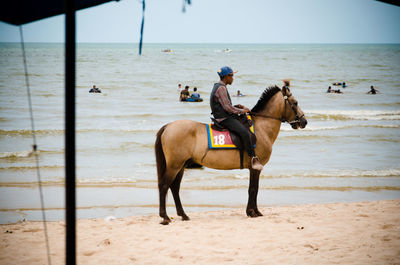 Teenager sitting on horse at beach