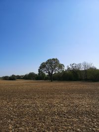 Scenic view of field against clear blue sky
