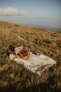 Picnic in the mountains