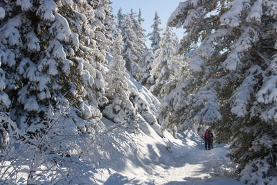 Snowshoe hike outing in chamrousse on a beautiful winter day