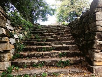 Low angle view of stairs against brick wall