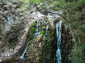 Scenic view of waterfall in forest