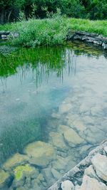 Scenic view of lake