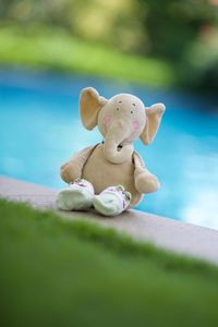 Close-up of stuffed toy in swimming pool