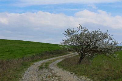 Road amidst field against sky