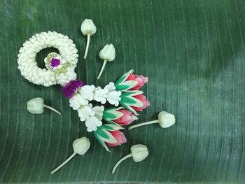 High angle view of flowering plant on table