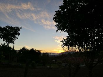 Silhouette trees against sky during sunset