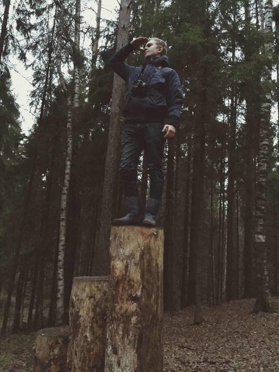 tree, tree trunk, low angle view, forest, statue, nature, human representation, sculpture, branch, growth, day, tranquility, outdoors, rock - object, full length, art and craft, art, no people, beauty in nature