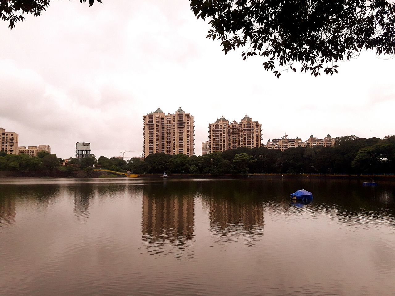 tree, architecture, built structure, reflection, building exterior, sky, water, waterfront, skyscraper, outdoors, city, cloud - sky, day, growth, modern, nature, no people