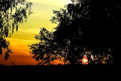 Silhouette trees on field against sky at sunset