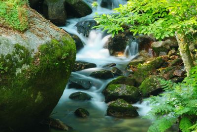 Scenic view of waterfall amidst rocks
