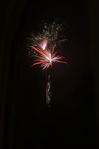 Low angle view of firework display at night