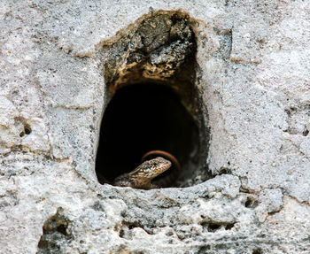 Close-up of hole on rock