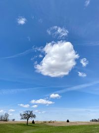 Scenic view of field against blue sky