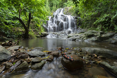 High angle view of waterfall in forest